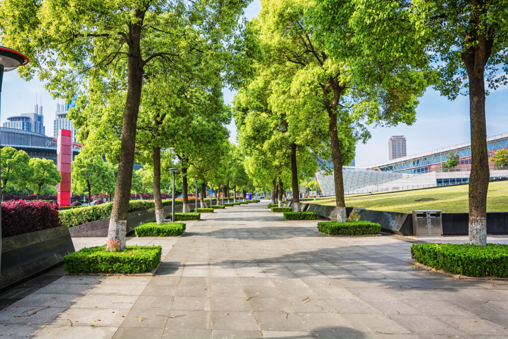 City park